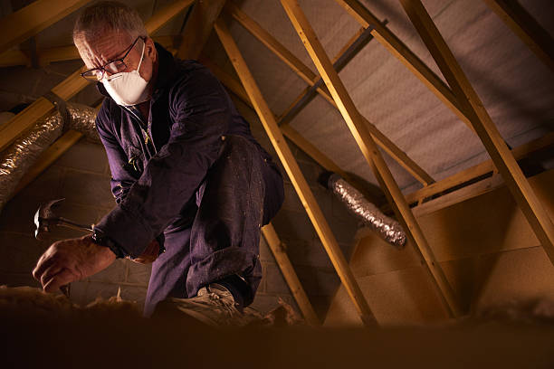 Types of Insulation We Offer in Fargo, ND