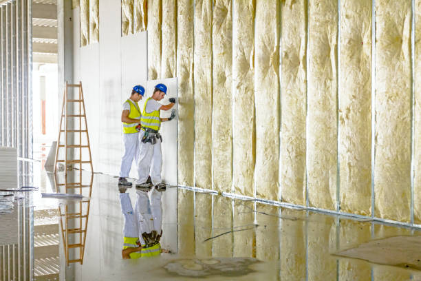 Best Specialized Insulation Services in Fargo, ND